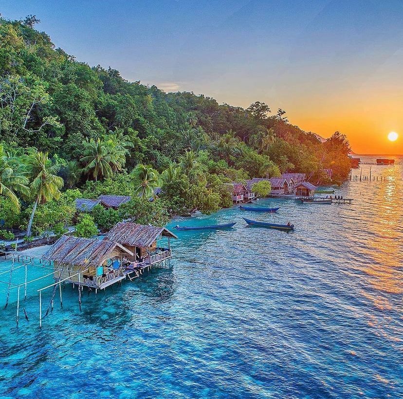 Cantiknya Taman Bawah Laut Pulau Kri di Papua Barat 