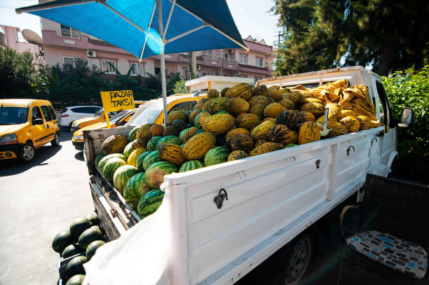 Rekomendasi Mobil Pick Up yang Cocok untuk Usaha