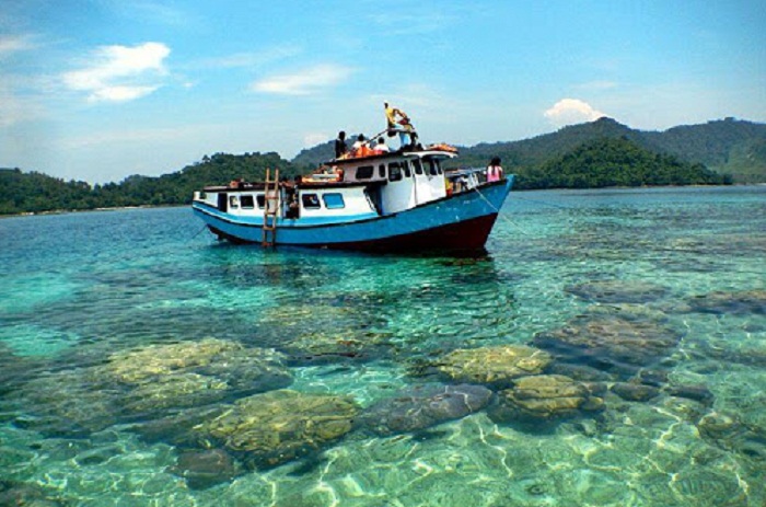 Objek Wisata Ratusan Habitat Lumba-lumba di Teluk Kiluan