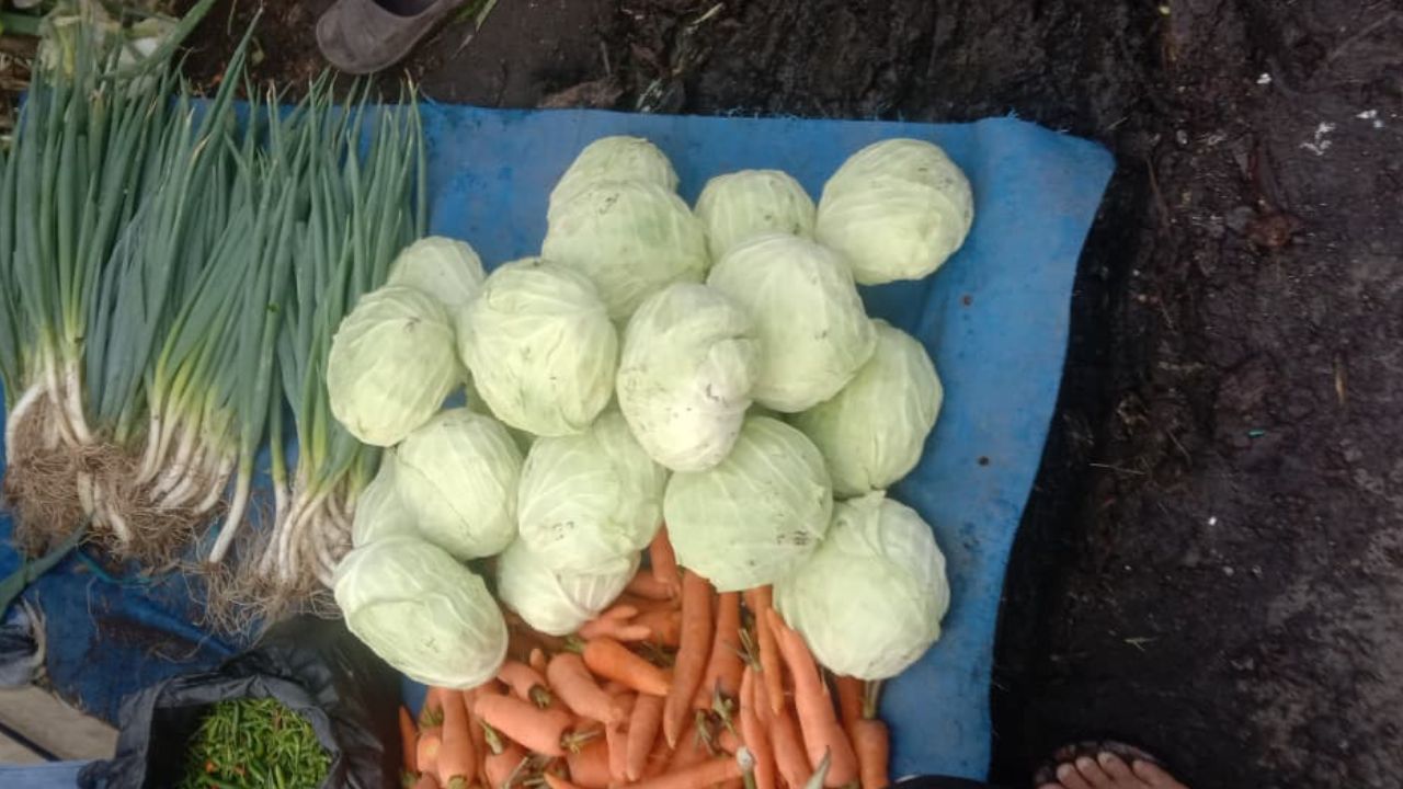 Ini Tips Memilih Sayur Kol yang Segar di Pasar agar Tidak Rugi    ﻿