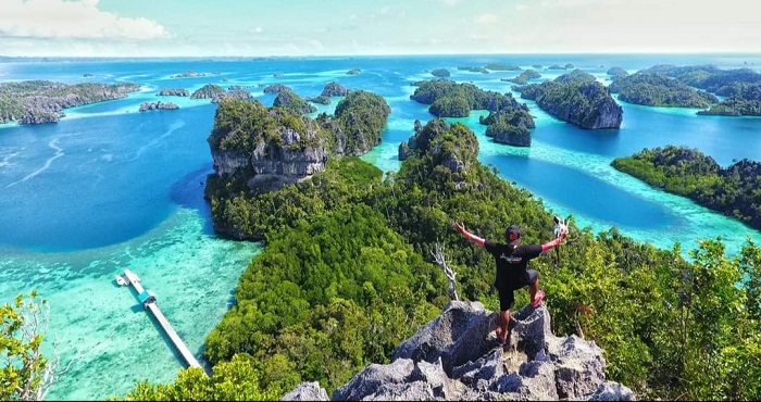 Atraksi Unik Burung Cantik Cendrawasih di Papua Barat