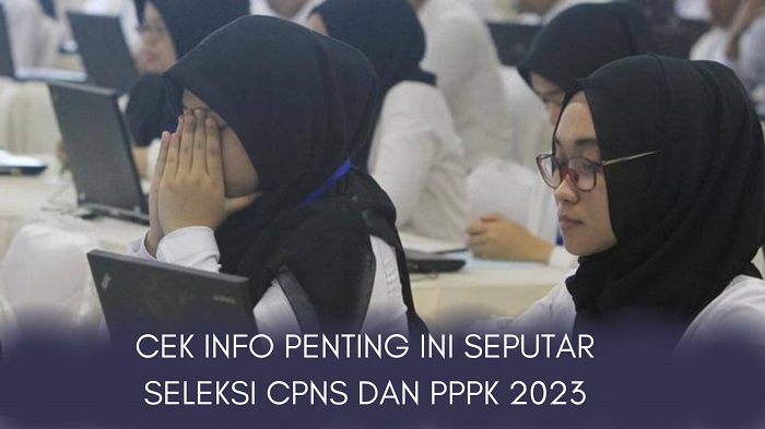 Cek Info Penting Ini Sebelum Daftar CPNS, Ada Kisi-kisi