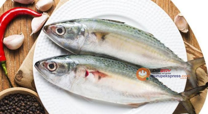 Kamu Harus Tahu! Ini 10 Ikan Tinggi Protein untuk Diet Sehat dan Mencegah Stunting