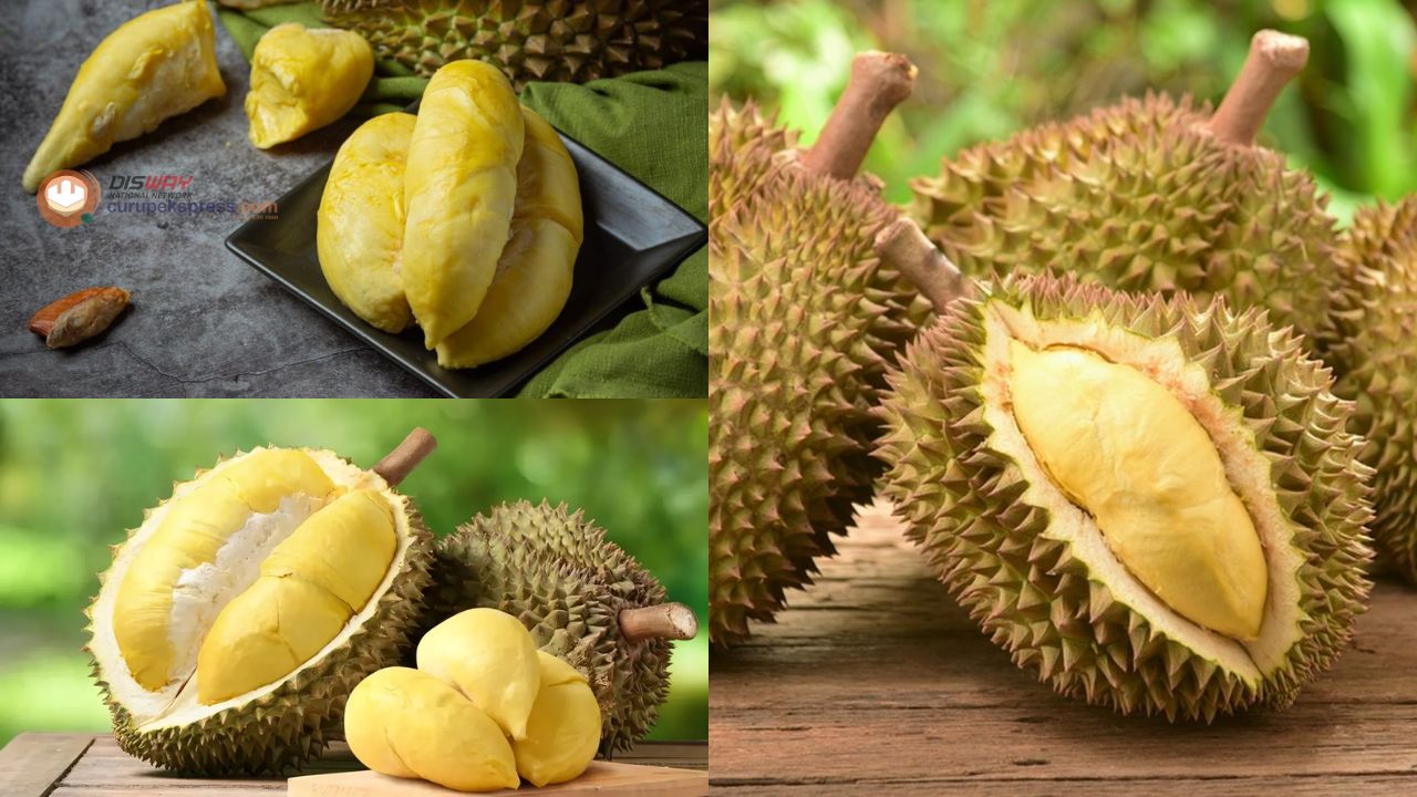 Menguak Rahasia di Balik Popularitas Festival Durian di Indonesia