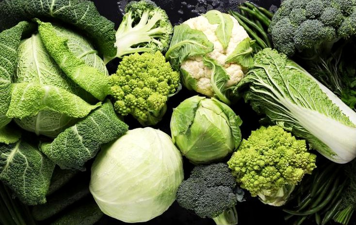  Cegah Kanker Payudara Sejak Dini dengan Pola Makan Sehat