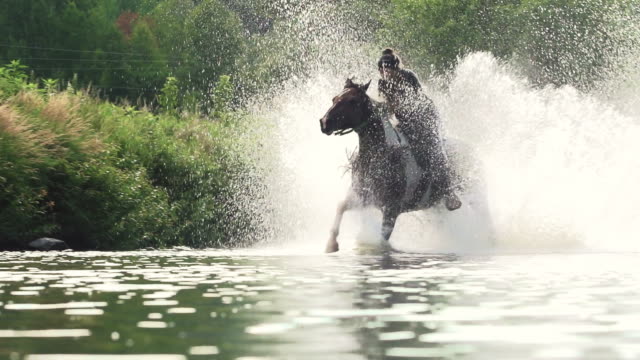 Menunggangi Hobi Berkuda: Memulai Petualangan Equestrian Anda