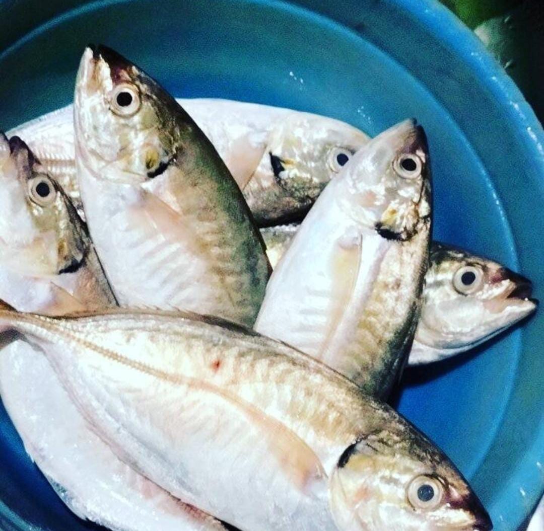 Tips Memilih Ikan Segar di Pasar 