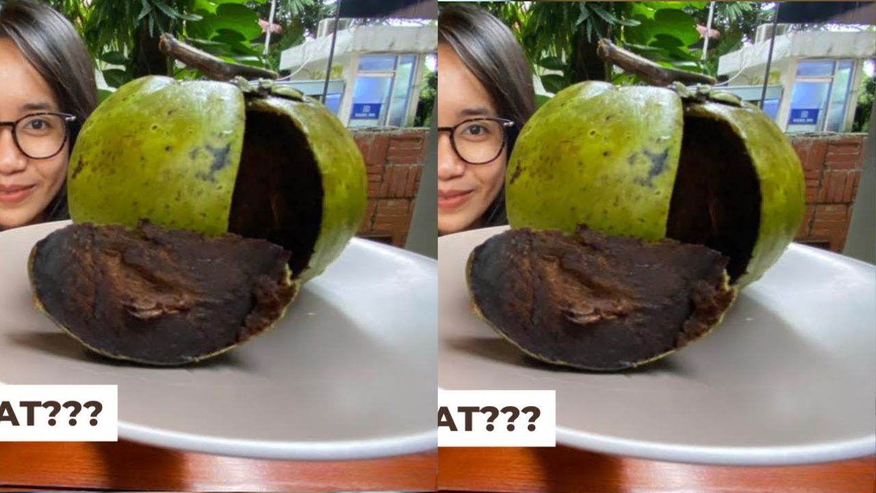Manfaat Buah Black Sapote untuk Kesehatan Tubuh, Cek Disini!