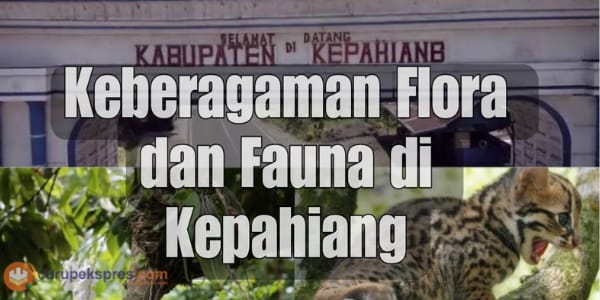 Mengenal Keberagaman Flora dan Fauna di Kepahiang