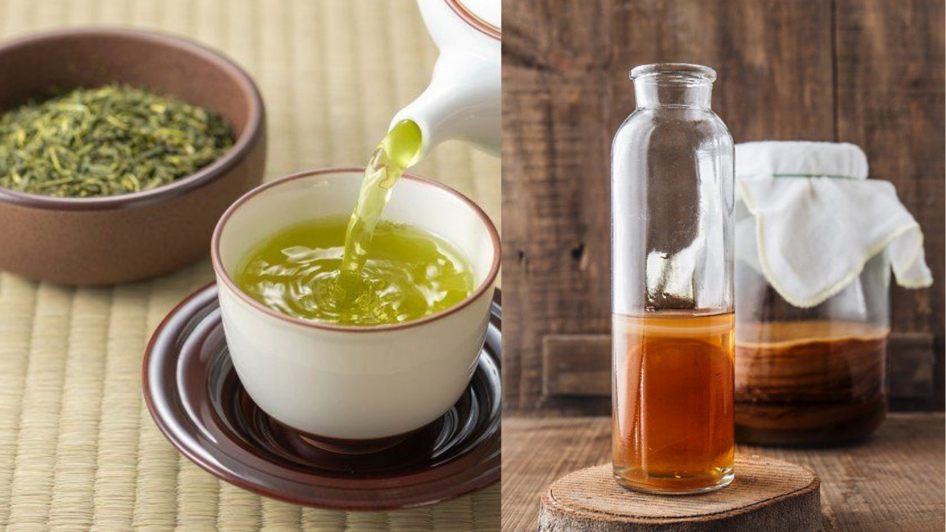 Sama-sama Sehat, Ini Perbedaan Teh Hijau dan Kombucha yang Jarang Diketahui