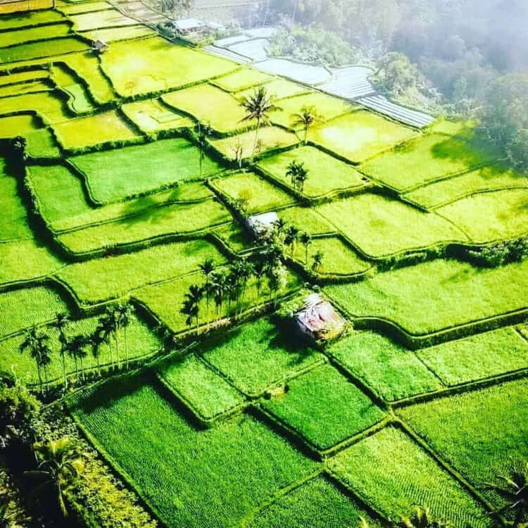 Desa Tetebatu Rekomendasi Liburan Akhir Tahun di Lombok Timur