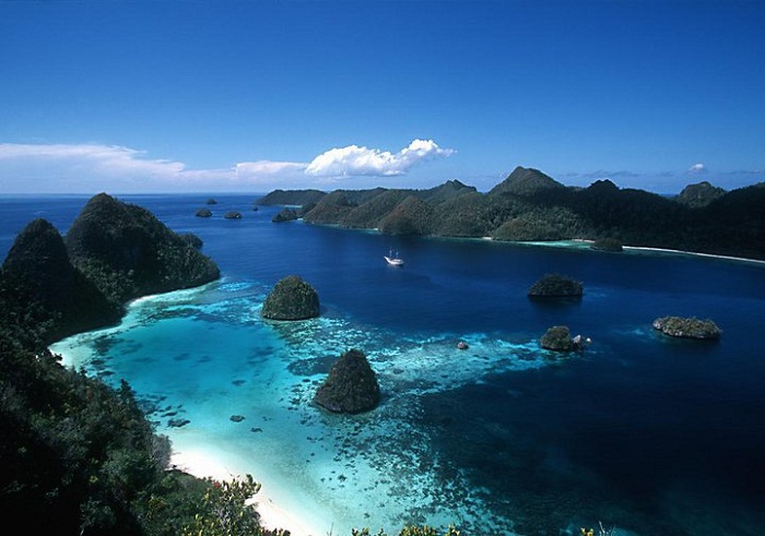 Pulau Kofiau Raja Ampat Habitat Burung Endemik Indonesia