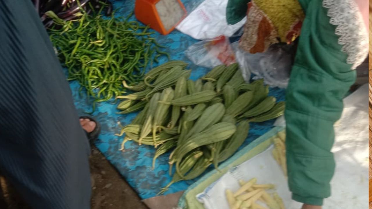 Catat! Ini 3 Manfaat Gambas bagi Kesehatan Tubuh Manusia