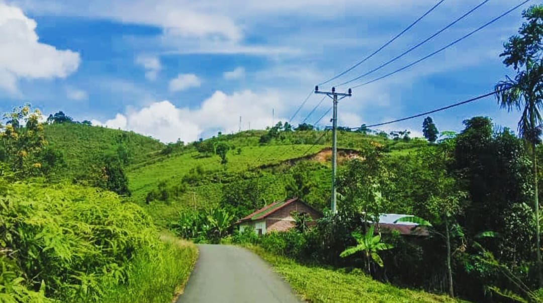  Jejak Peninggalan Kebun Bunga Tien Soeharto di Mangkurajo, Anggrek dan Taman Bunga Warna Warni