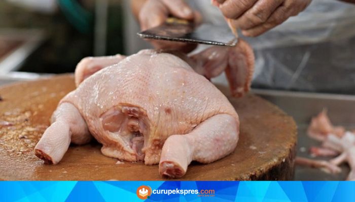 Penyembelihan Ayam Tidak Sempurna: Media Perkembangbiakan Bakteri! Mengapa Demikian?