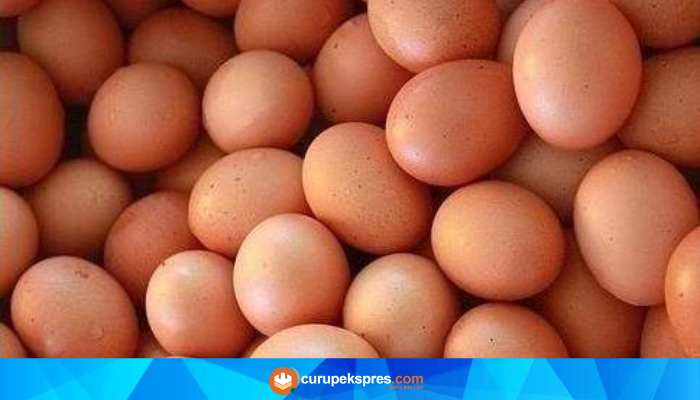 Telur: Sumber Nutrisi Berkualitas Tinggi untuk Kesehatan Tubuh Anda