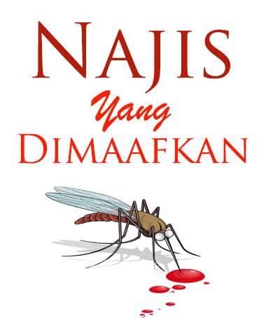  Beberapa Najis Ini Jika Kita Terkena Bisa Dimaafkan, Apa Saja?