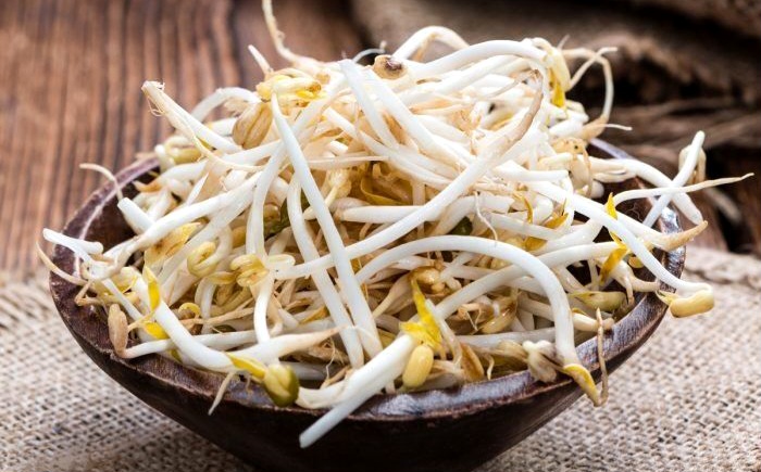 Toge, Makanan Sederhana dengan Manfaat Luar Biasa bagi Kesehatan