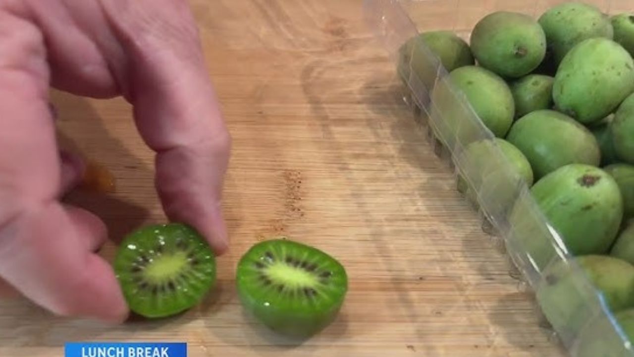 Kamu Harus Tahu! Ini 3 Manfaat Buah Kiwi Berry bagi Kesehatan Tubuh Manusia