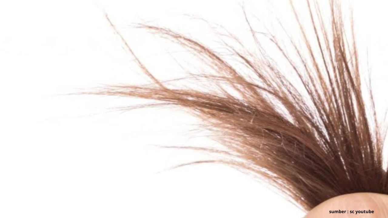 Catat! Ini Tips Alami yang Bisa Mengatasi Rambut Bercabang