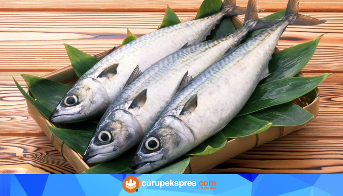 Jangan Salah! Hanya Ikan Ini yang Bisa Bikin Umur Panjang