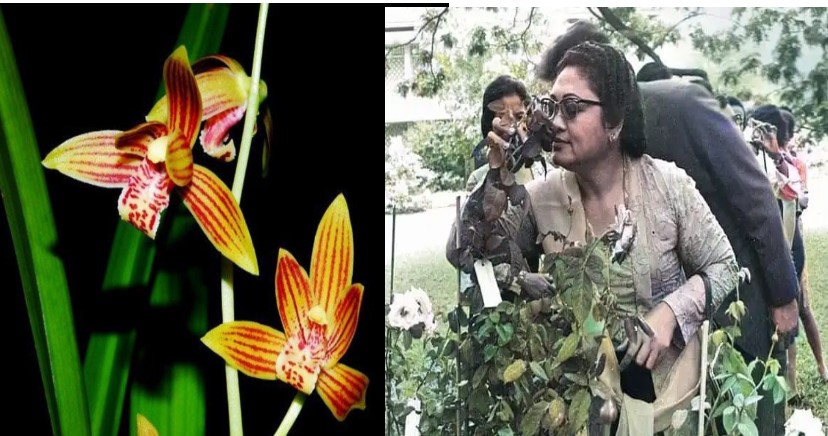 Prabowo Presiden, Harapan Baru untuk Bekas Kebun Bunga Ibu Tien Soeharto di Wilayah Ini