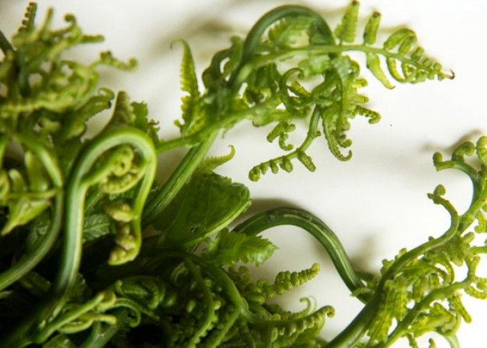 Mengenal Blue Matcha, Minuman Kekinian Bebas Kafein yang Menenangkan