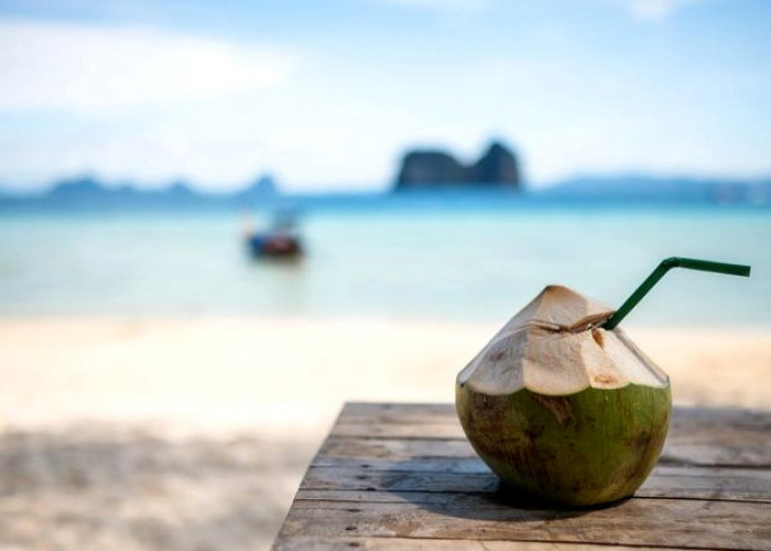 Efek Minum Air Kelapa Saat Berbuka Puasa, Apa Kata Dokter?
