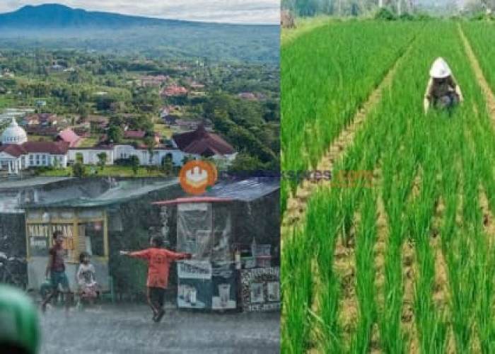 Dampak Perubahan Iklim Terhadap Lingkungan dan Kehidupan di Kabupaten Kepahiang