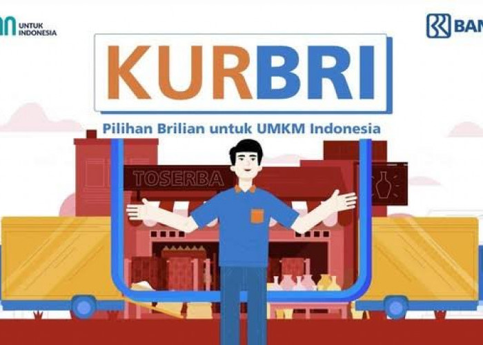 Bisa Lewat Hp! Ini Cara Ajukan Pinjaman KUR BRI 2025 Secara Online Hanya dengan Hp