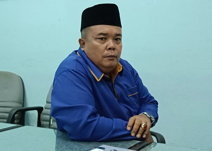 Infonya Wabup Jabat Ketua DPD NasDem