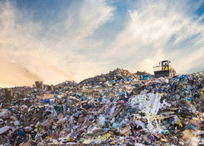 Bahaya Sampah Bagi Manusia dan Lingkungan
