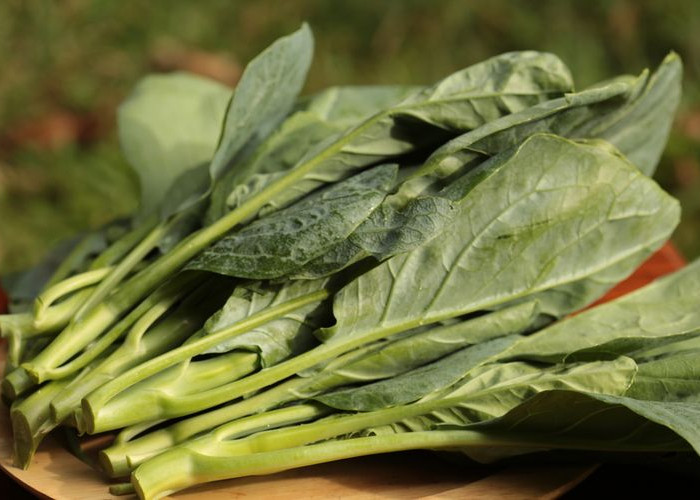 10 Sayur yang Belum Banyak Diketahui Kandungan Baiknya!