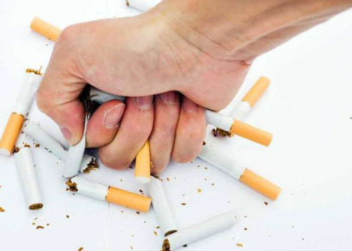 3 Obat Herbal Yang Konon Diyakini Ampuh Menghilangkan Candu Rokok