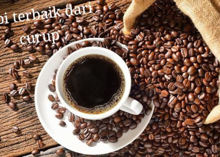 Rekomendasi Kopi Bubuk Terbaik dari Curup yang Patut Dicoba