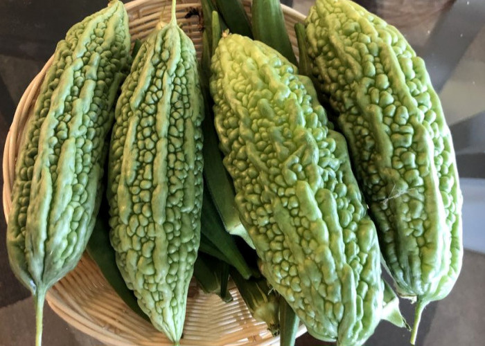 Kasus Diabetes Terus Naik, Ini Solusi Alami dari Makanan Sehari-hari!