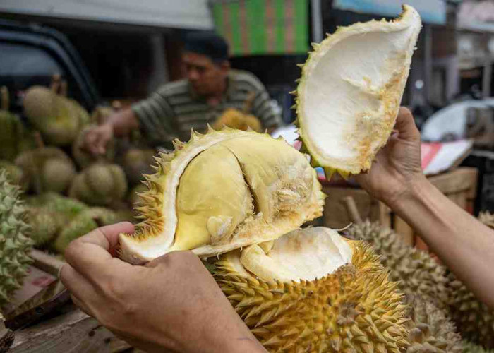 Kenapa Durian yang Kamu Beli Nggak Enak? Ini Penyebab dan Solusinya!