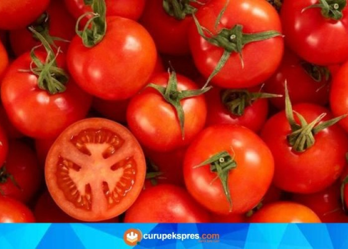 Rahasia Awet Muda dengan Buah Tomat: Manfaat Luar Biasa untuk Kesehatan Tubuh