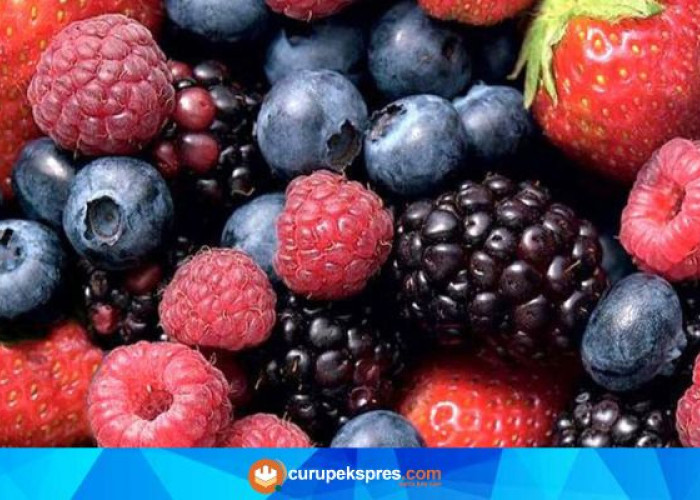 Fakta Menarik Buah Berries untuk Kesehatan Tubuh