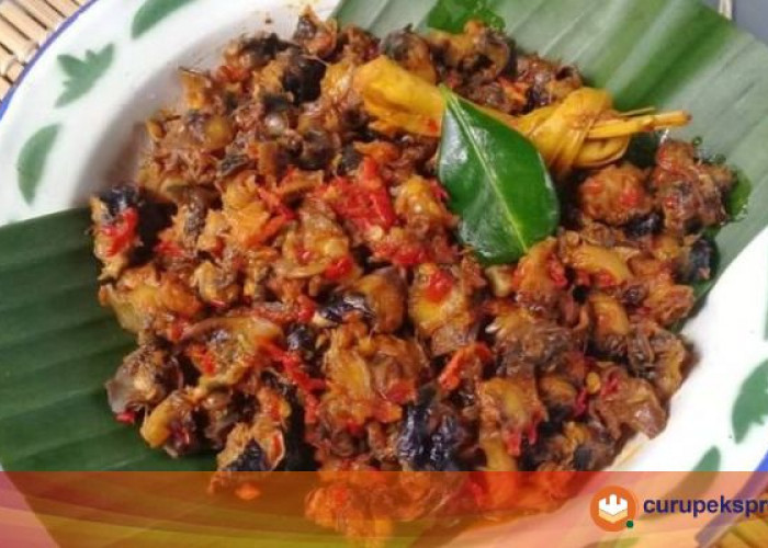 Resep Masakan Sederhana : Keong Sawah Rica-rica