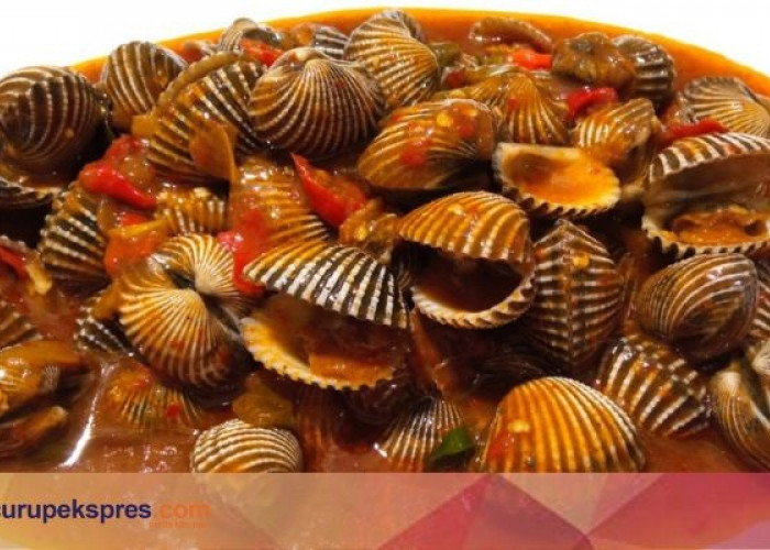 Resep Kerang Dara Saos Padang Ala Rumah Makan Padang 