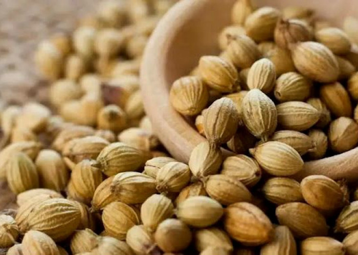 Sering Dipakai di Dapur, Ternyata Kapulaga Punya Khasiat Luar Biasa