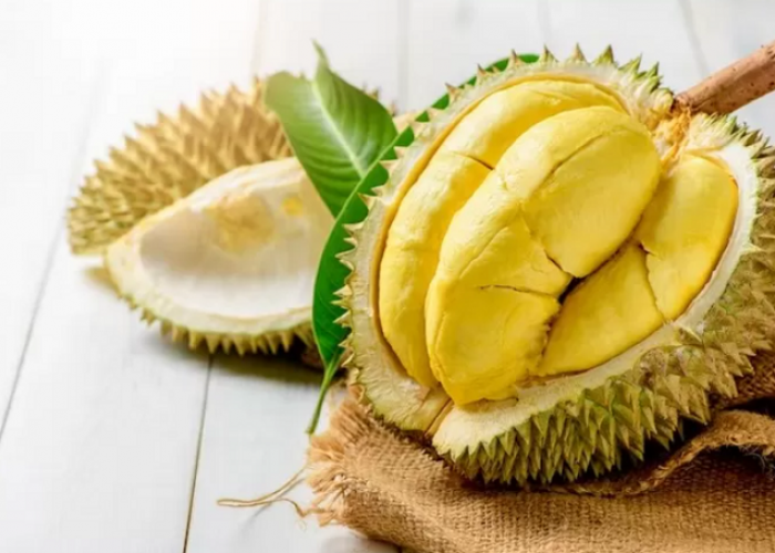 Wow! Ternyata Durian Ini Dijual dengan Harga yang Fantastis di Luar Negeri, Penasaran Berapa Harganya?