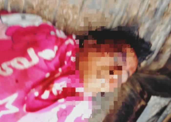 Lokasi Pengolahan Tambang Emas Ilegal di Mandailing Natal Makan Korban, 1 Tewas