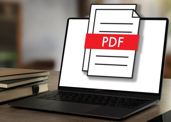 Tips Mengatasi Error PDF Validation saat Unggah Dokumen CPNS 2024