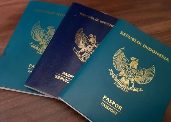  Sering Diabaikan, Ini Aturan Penulisan Nama di Paspor yang Bisa Gagalkan Perjalanan