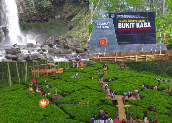 Rekomendasi 3 Wisata Alam yang Ada Di Kepahiang yang wajib Kamu Kunjungi