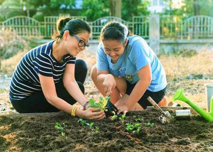 Pernah Dengar Istilah Plant Therapy? Ternyata Bermanfaat untuk Kesehatan Mental Loh