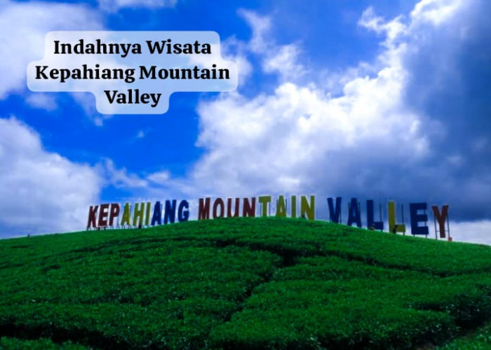 Indahnya Wisata Kepahiang Mountain Valley Eksplorasi Kebun  Teh yang Memukau