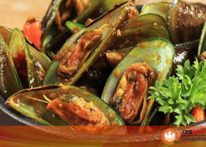 Resep Kerang Hijau Saos Padang yang Lezat